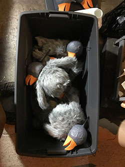 Baby Penguin Puppets